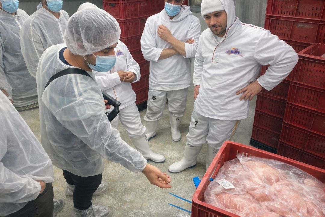 recorrido en una planta de desposte de carne de res y cerdo corte directo