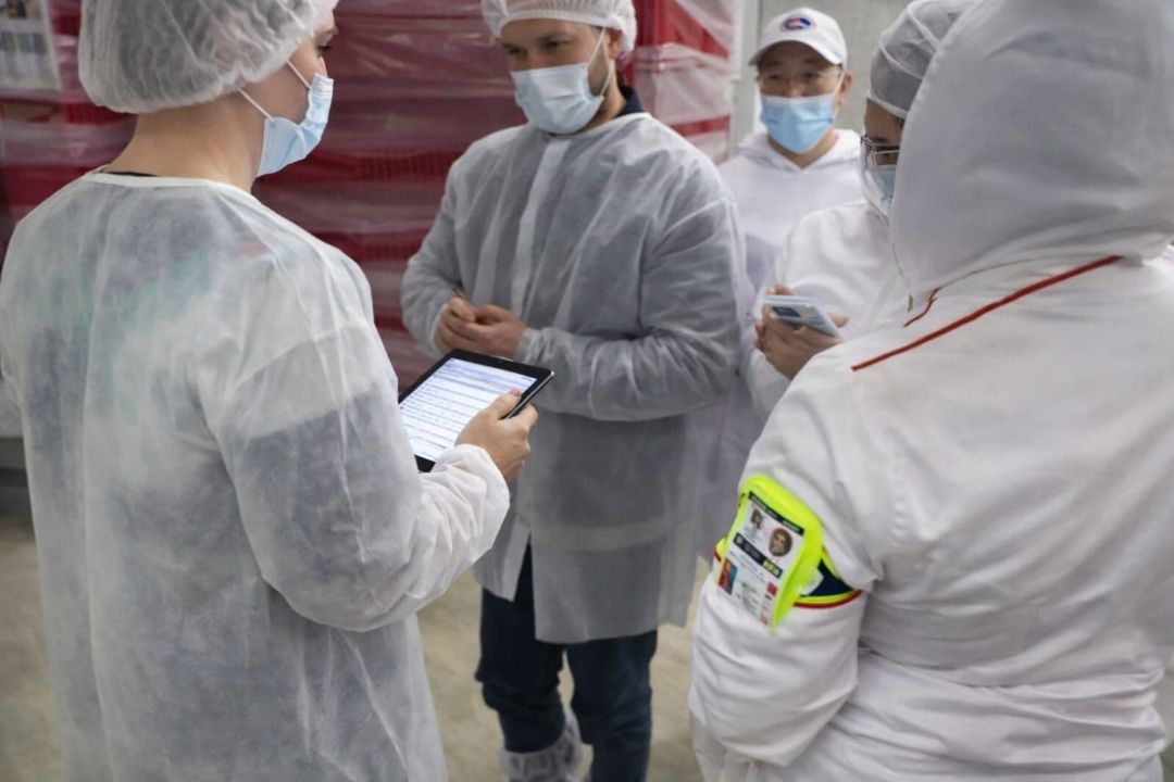 visita a una planta de desposte de carne de res y cerdo corte directo