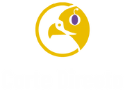 Logo Corte Directo Transparente